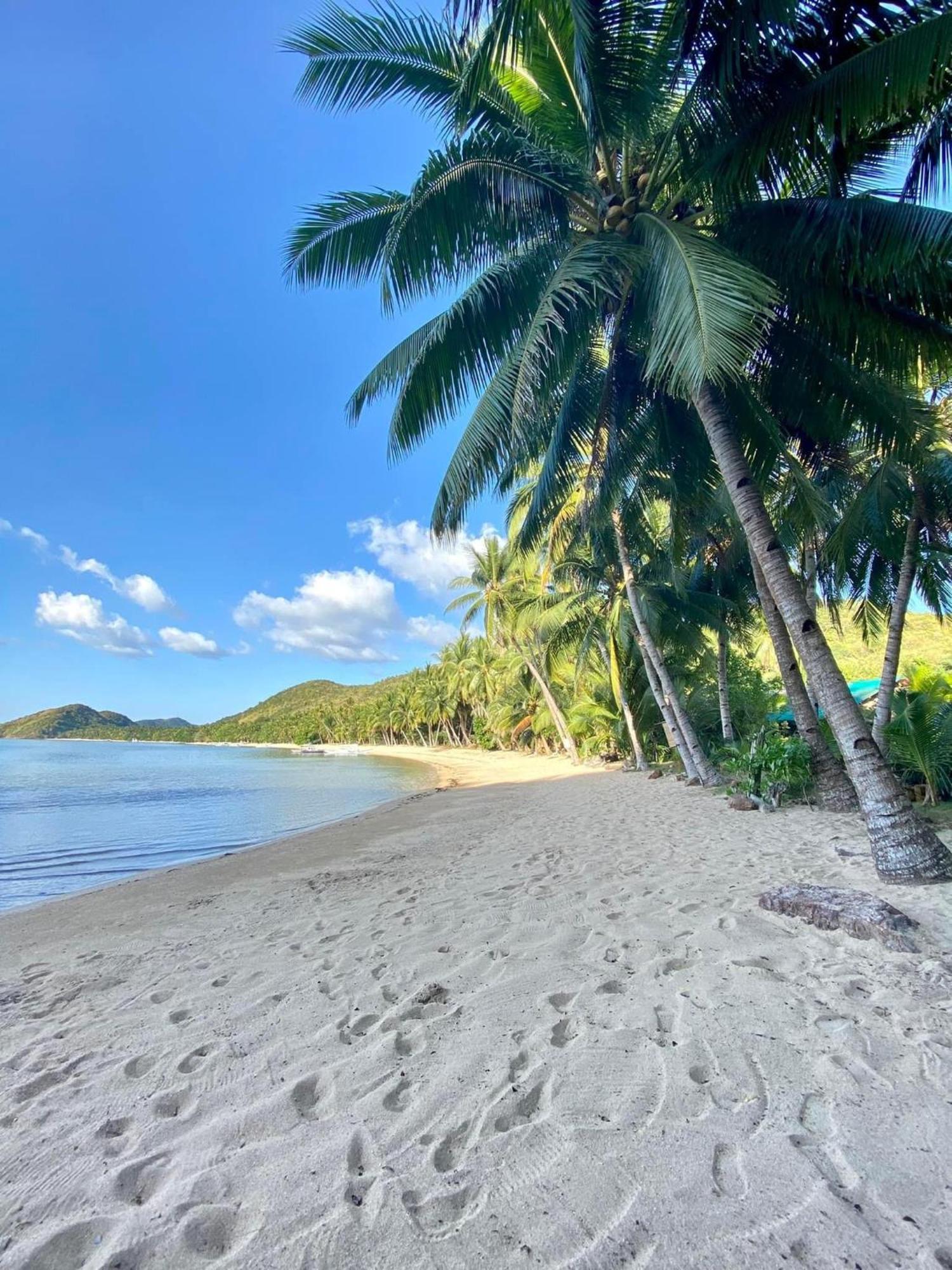 Ocamocam Beach Nature Resort New Busuanga Exterior foto