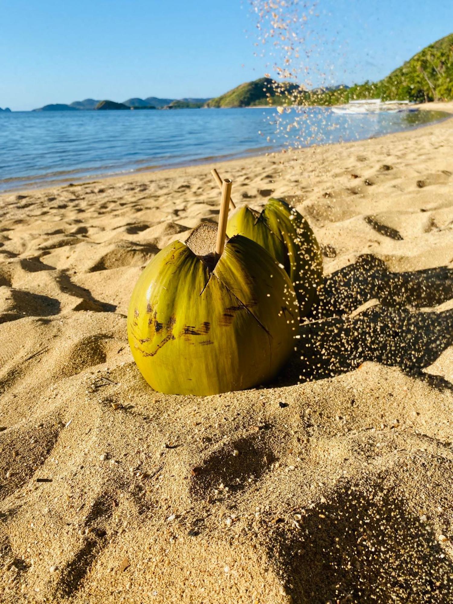 Ocamocam Beach Nature Resort New Busuanga Exterior foto