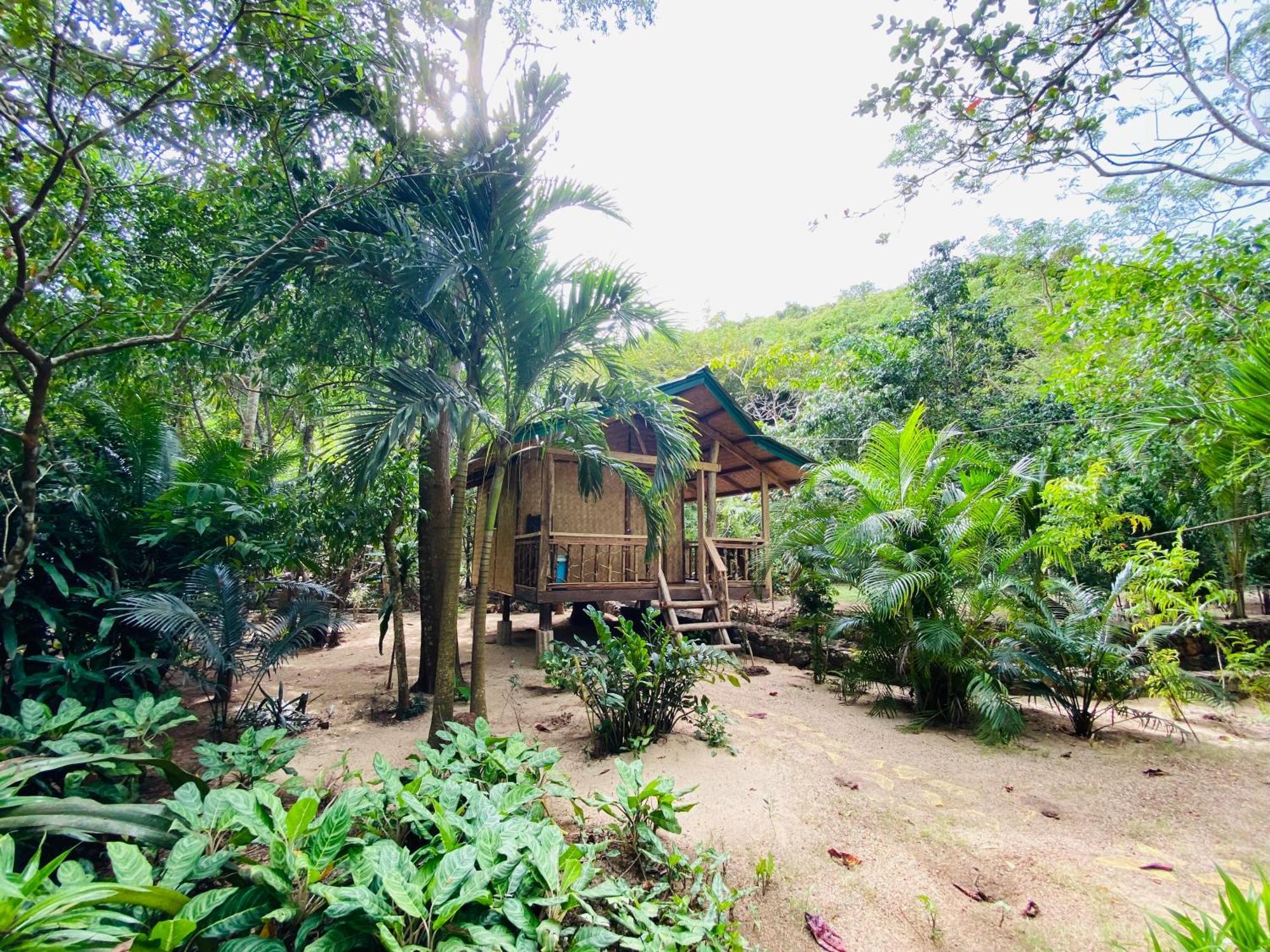 Ocamocam Beach Nature Resort New Busuanga Exterior foto